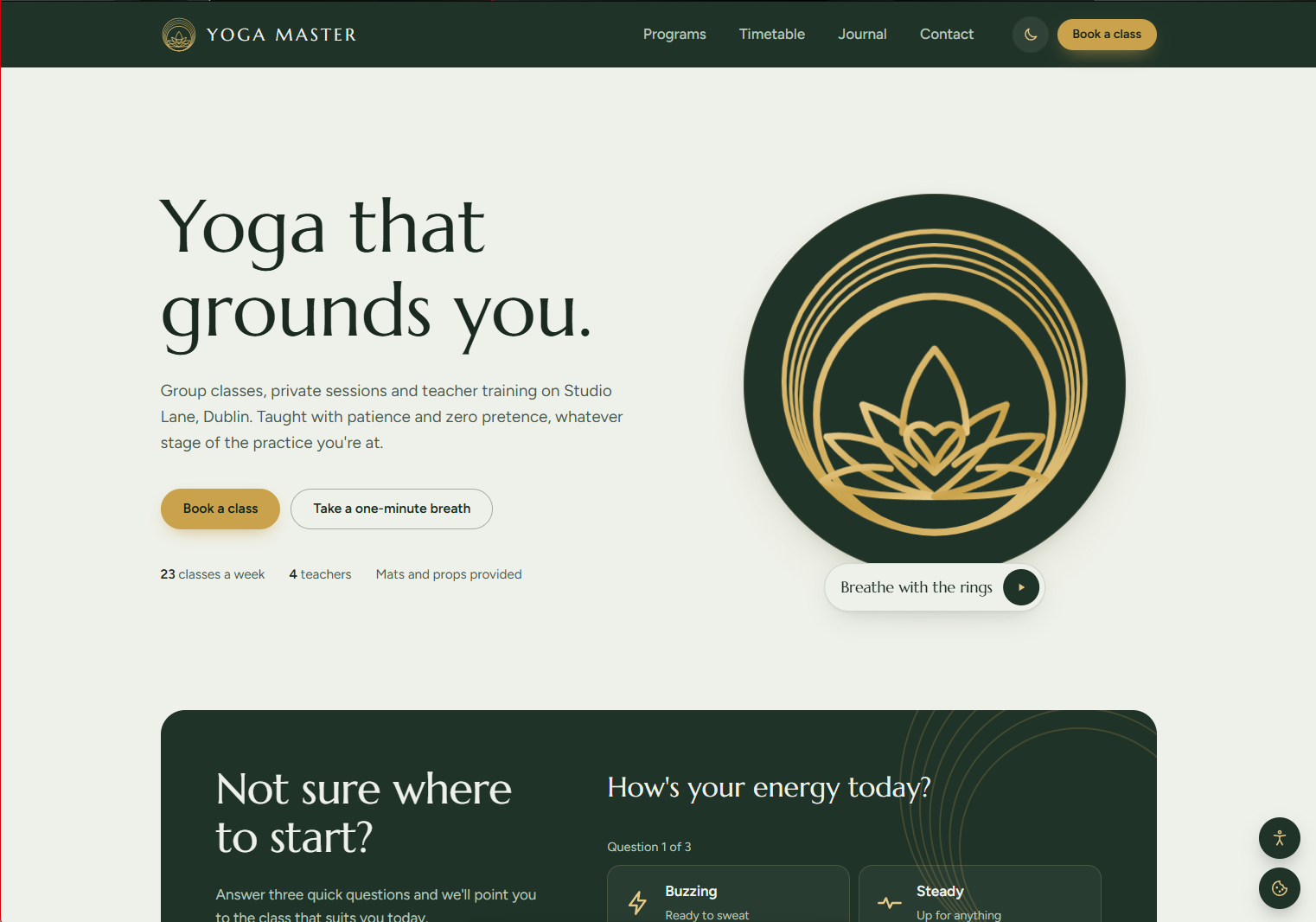 Yoga Master website screenshot